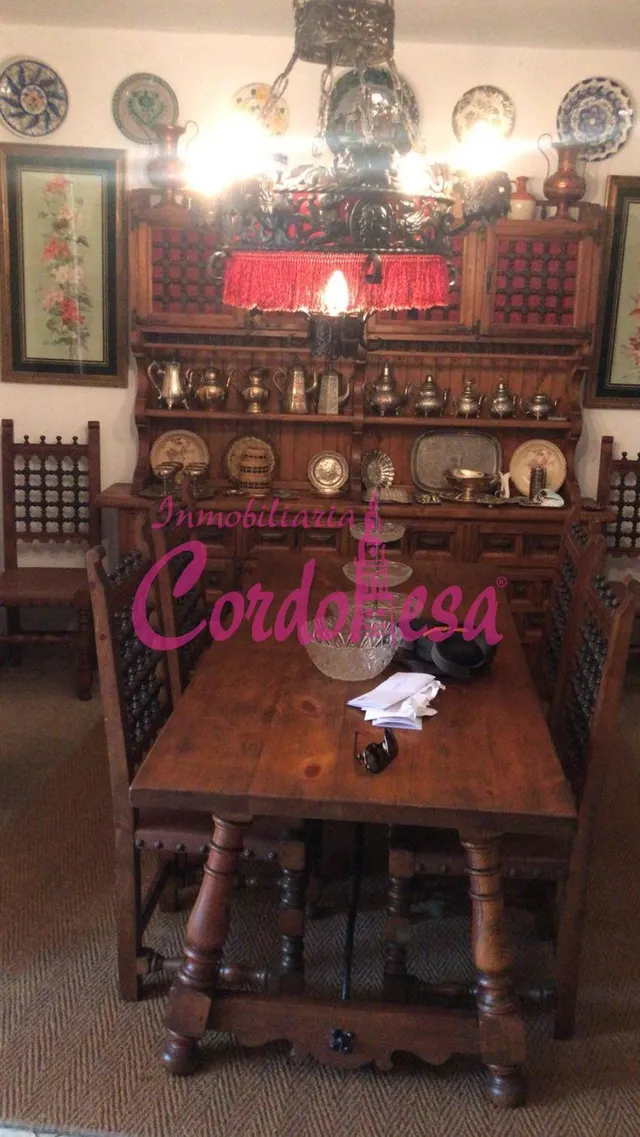 MAGNIFICA CASA SEÑORIAL EN VILLAVICIOSA DE CORDOBA — 9