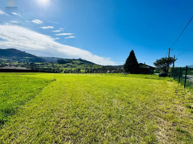 Parcela en venta - La Pedrera - Leorio - Huerces - Ruedes