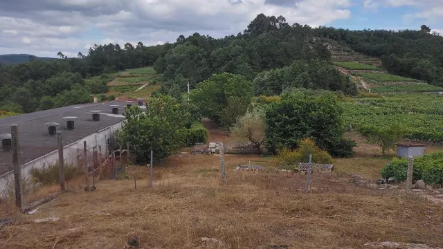 Chalet con jardín y piscina en Leiro — 23