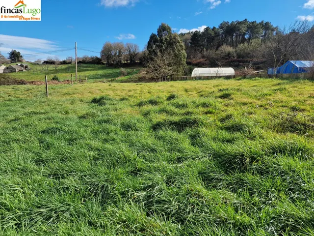 TERRENO URBANIZABLE EN O VERAL — 6