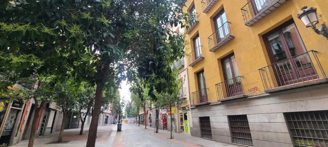 VENTA DE LA NUDA PROPIEDAD EN EL CENTRO DE MADRID — 10