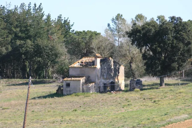 FINCA RÚSTICA A LA VENTA EN MAÇANET DE LA SELVA, PARCELA DE  - foto 2