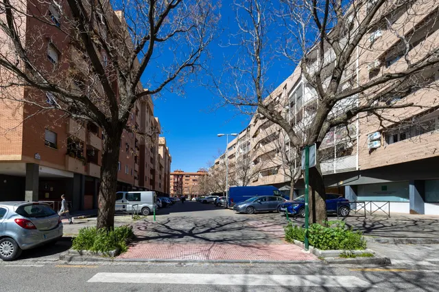 Planta baja con terraza privada, 3 dormitorios, 2 baños y garaje — 29