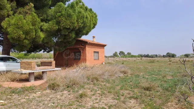 Finca rústica en venta en Constanti - foto 2