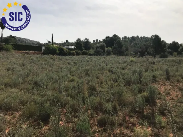 Deseas para tu familia un hogar con un buen jardin en zona tanquila y cerca de la Ciudad? — 5