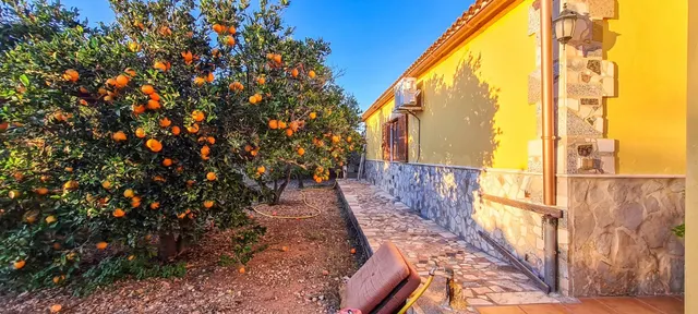 Chalet unifamiliar con árboles frutales en Urb. es Pinaret, Marratxí — 2