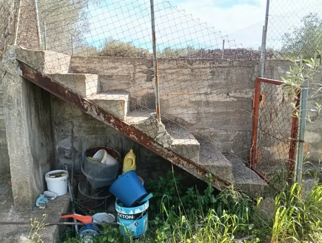 finca con casa y balsa — 7