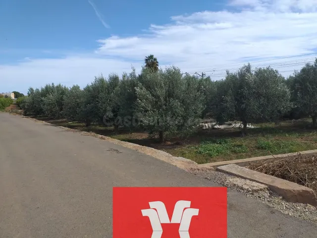 TERRENO DE OLIVERAS A LA VENTA EN MONCADA - foto 3