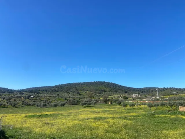 Negocio y vivienda en Belmez