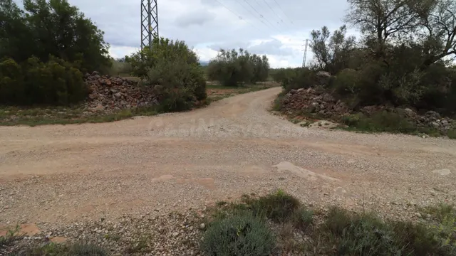 APARTAMENTOS EN UNA RESIDENCIAL EN ORIHUELA COSTA, 2 DOR,2 B - foto 3