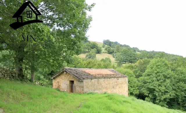 CABAÑA CON FINCA DE 10.000M2 EN LUENA - foto 3