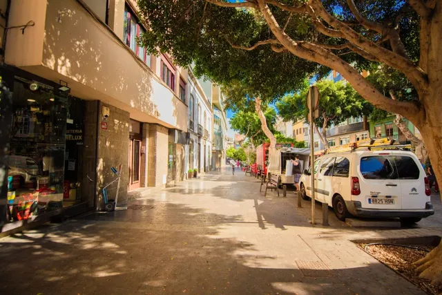 Se alquila amplio y luminoso local comercial situado en plen - foto 2