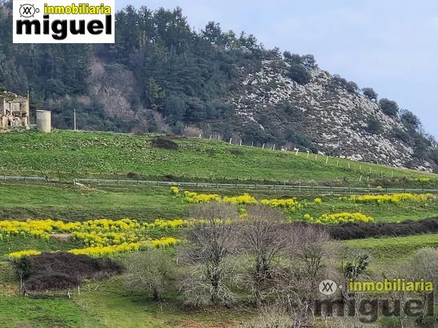 Se vende gran parcela edificable en Narganes, Peñamella Baja — 5
