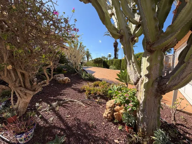 CHALET DE LUJO EN CABO ROIG CON 5 HAB 5 BAÑOS PICINA PROPIA  - foto 2