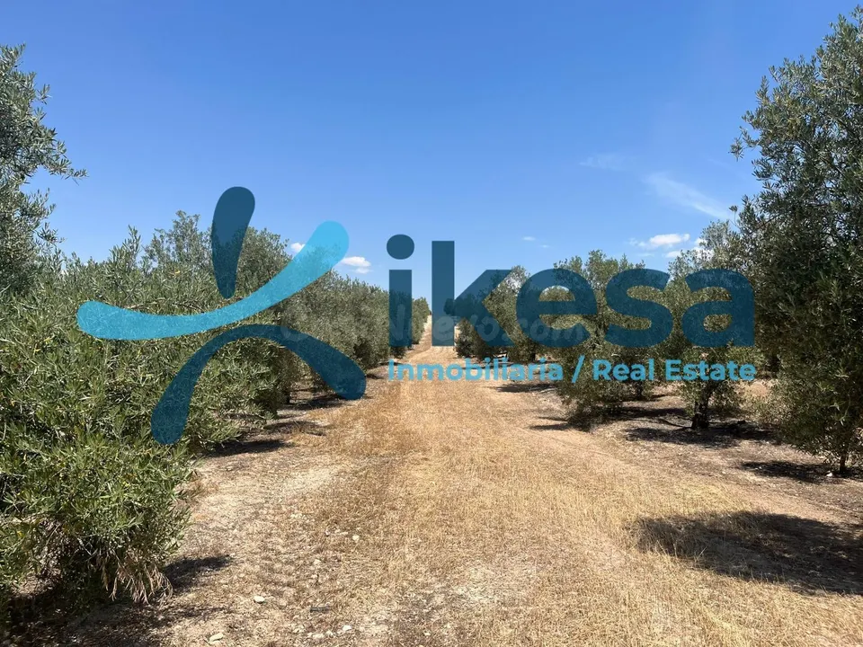 Terreno rural 810m² en venta - Andalucia