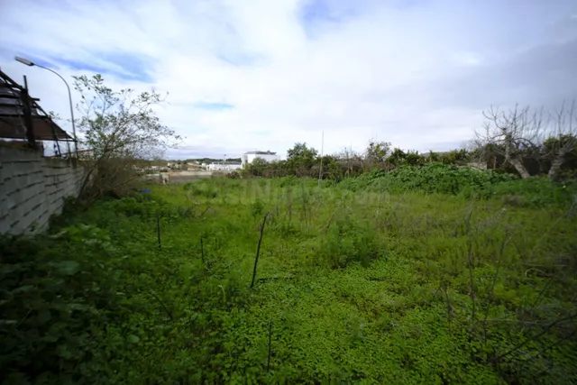 Parcela en la Pirotecnia - foto 2