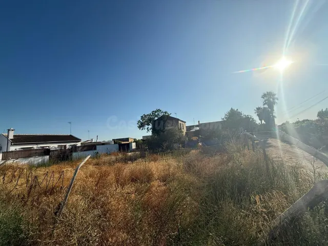 Terreno rural en venta - PILAS - foto 2