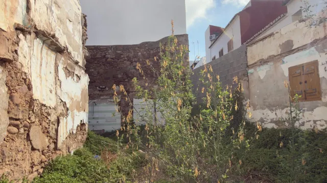 QUIERES UNA PARCELA EN EL CASTILLO DE SAGUNTO...? — 8