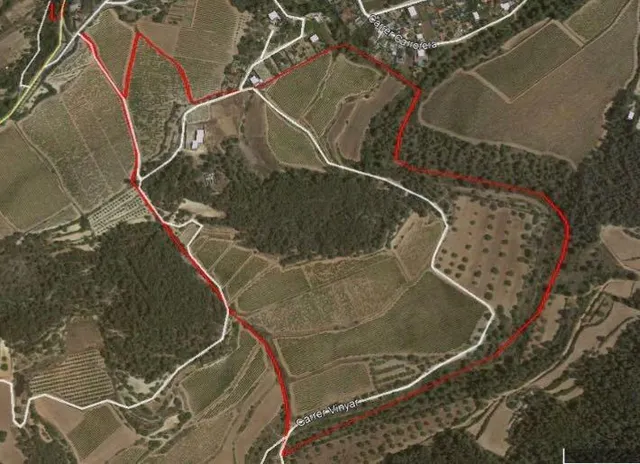 Finca de aprox 67 hectàreas. Con dos casas principales para reformar — 29