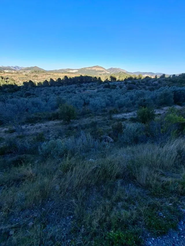 Se venden varias parcelas unificadas con un total de 24158 m - foto 5