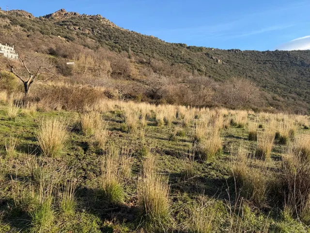 Bubión. Finca rústica de riego en la vega a solo 100 metros  - foto 5