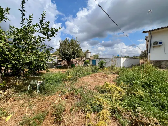 FINCA CON PISCINA, HUERTO, POZO Y VIVIENDA — 24
