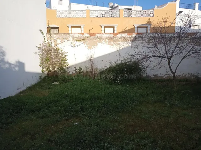 MAGNIFICO SOLAR A LA VENTA EN CANTILLANA (SEVILLA) - foto 3