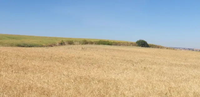 Urbis te ofrece un Terreno Agrario No Urbano en Salamanca, Zona PEÑISCAS, Salamanca — 7