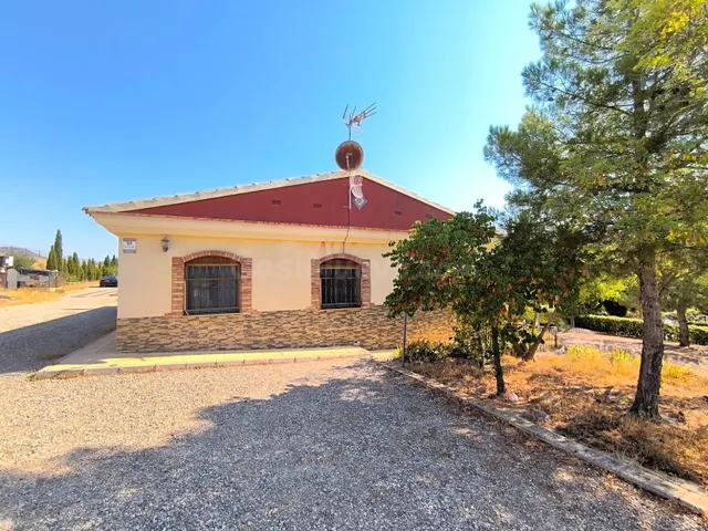 Villa 5 habitaciones 540m² en venta - Jumilla centro — 4