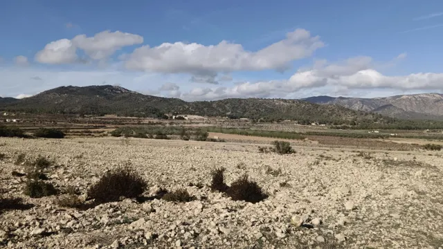 Fincas rurales en venta en Salinas - Comunidad Valenciana