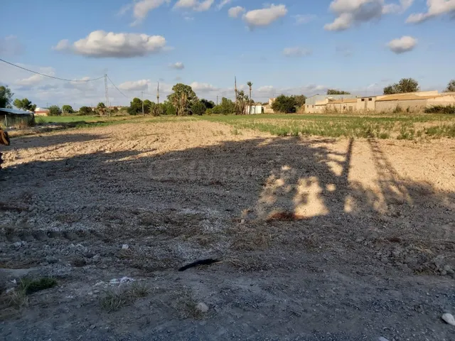 FANTASTICO TERRENO EN CREVILLENTE, ALICANTE, COSTA BLANCA SU