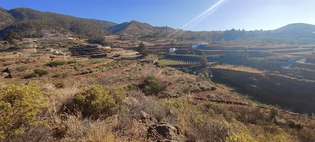 FINCA AGRÍCOLA EN GRANADILLA DE ABONA.
