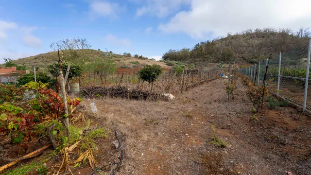 Terreno urbano en Tacoronte. — 20