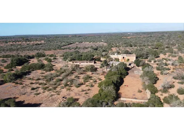 Finca rústica en venta en Llucmajor Interior - foto 3