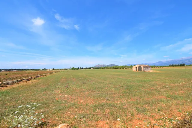 Finca rústica con caseta de campo y magnificas vistas a la S - foto 4