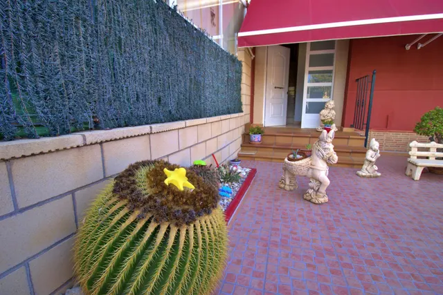 MAGNIFICO BUNGALOW — 7