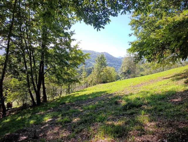 Terreno urbano en venta - Trubia — 22