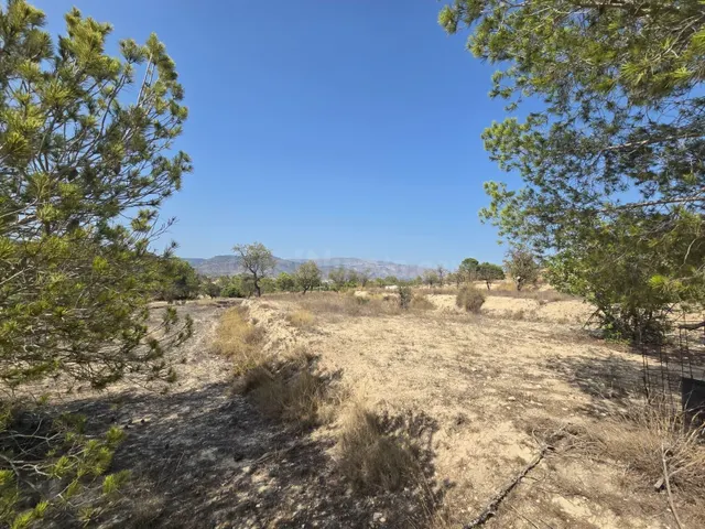 Terreno rural en venta - Comunidad valenciana - foto 2