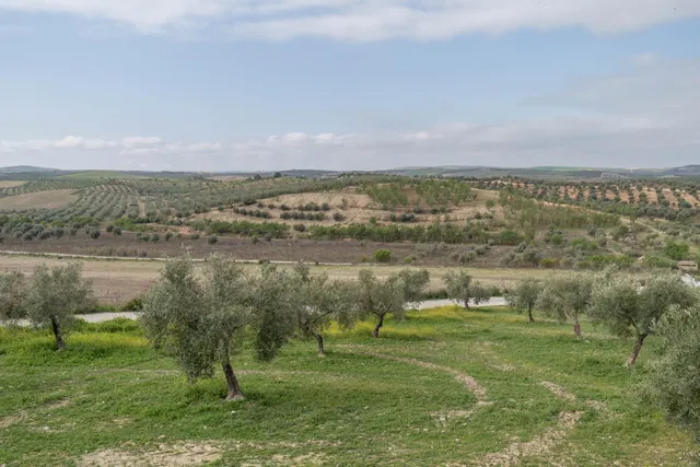 Parcela urbana de 985 m2 en Cúllar Vega (El Ventorrillo) — 18