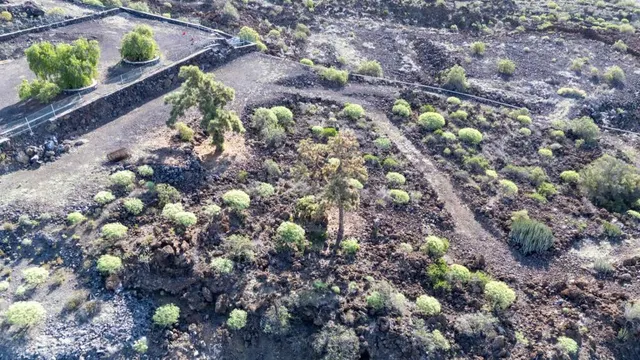 Terreno rústico en Chigora (Chío) -  11.169 m2 — 7
