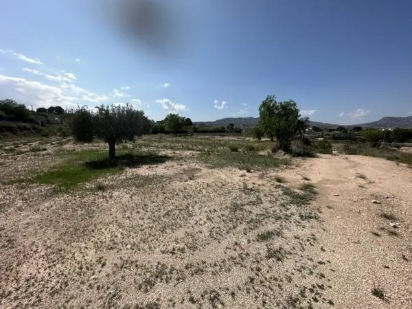 Parcela de terreno Rural cercana al casco urbano — 11