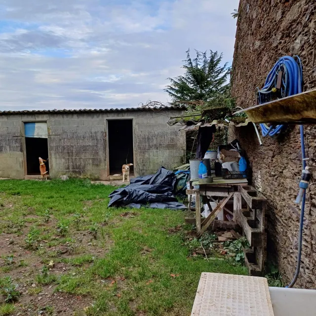 SE VENDE CASA DE ALDEA EN ARZUA PARA REFORMAR — 5