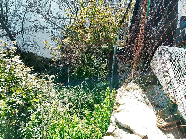 Finca ideal para construir tu casa. - foto 4