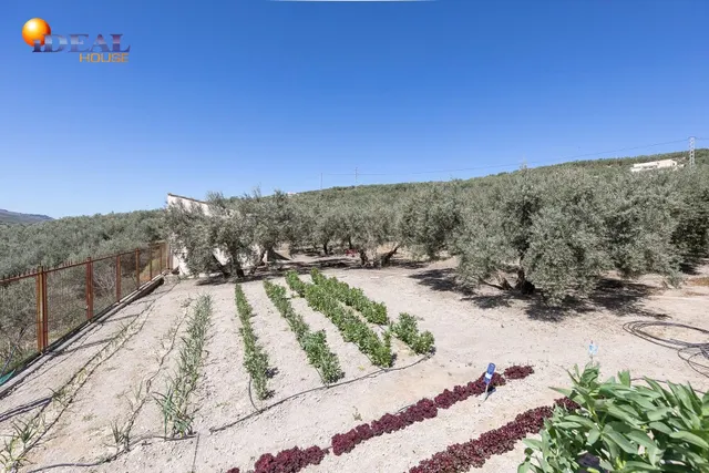 Casa con terreno ubicada en plena naturaleza, a tan solo 2km de Montefrio. — 42