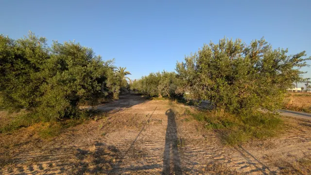 ¡OPORTUNIDAD DE PARCELA EN CARRETERA DE DOLORES CERCANA AL R - foto 3