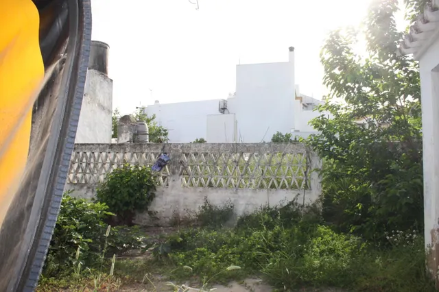 Gran parcela en Carrión de los Céspedes, Sevilla - foto 4