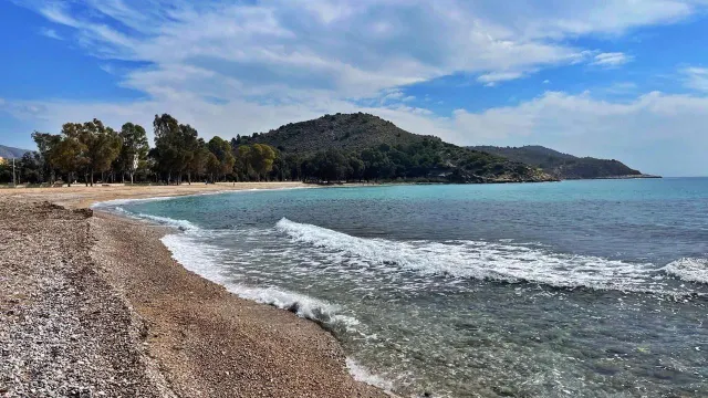 COMPLEJO DE OBRA NUEVA EN VILLAYOJOSA — 16