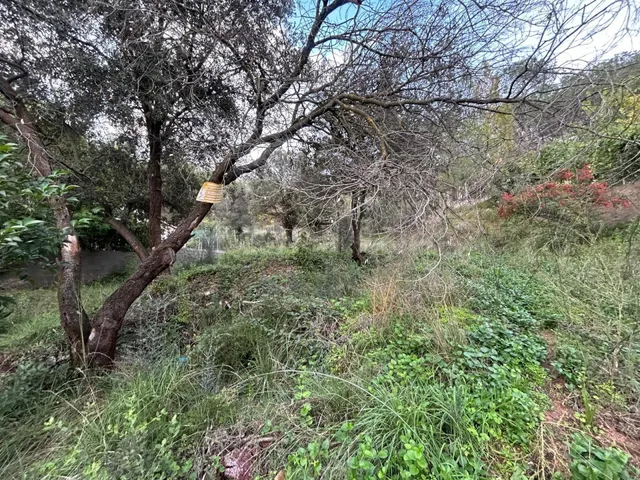 Terreno urbano en venta - Can soles del pala - foto 4