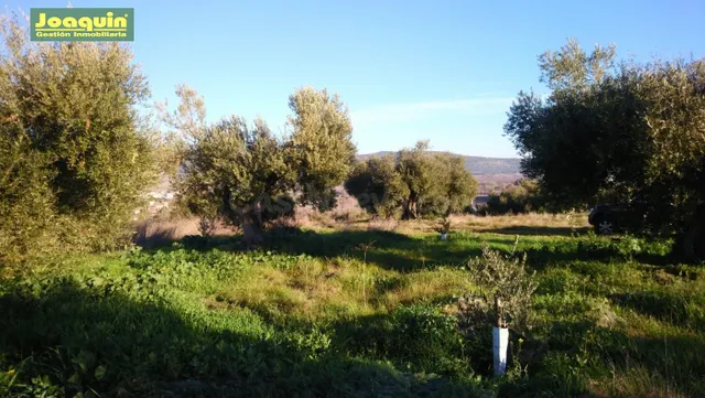 TERRENOS RUSTICOS EN BARRIADA DEL ÁNGEL - foto 2