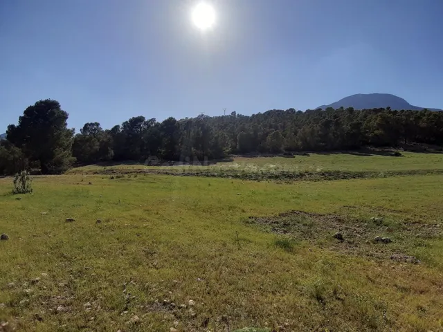 Parcela para construcción de vivienda en La Parroquia, en pl - foto 4